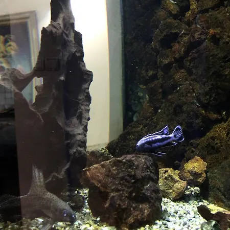 Republic Square بلغراد