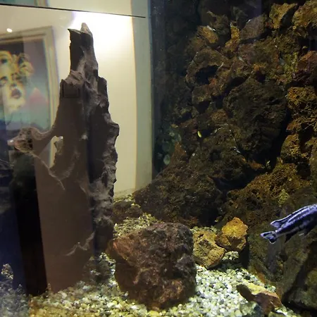 Republic Square بلغراد